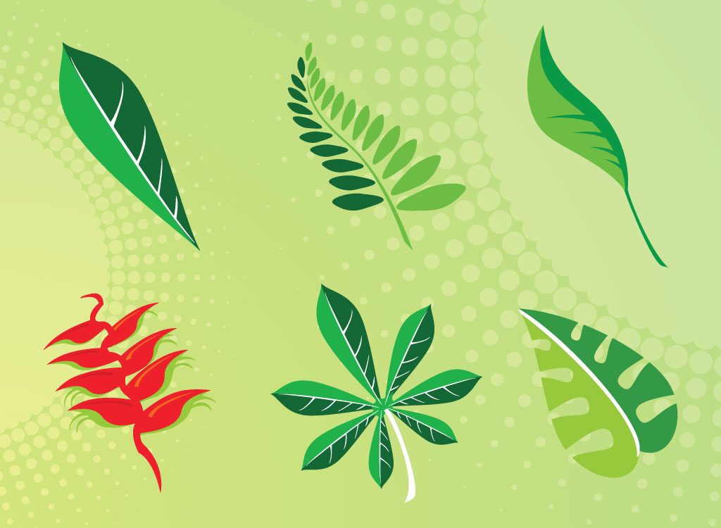 1024x750 Leaf Vector Pack