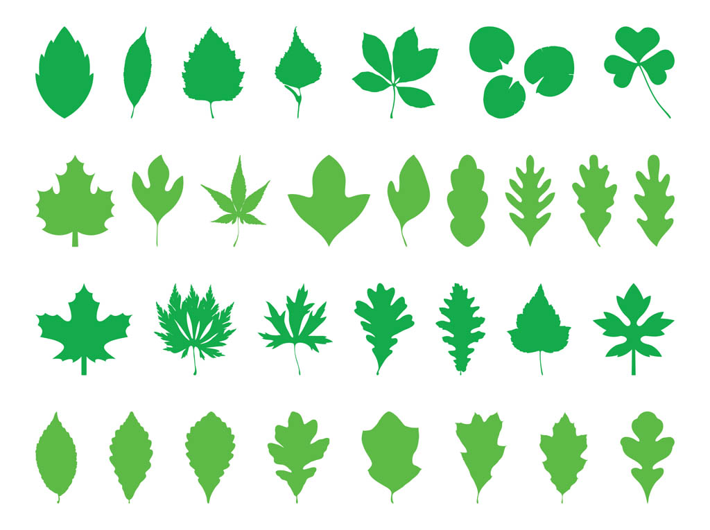 1024x765 Leaves Silhouettes Pack Free Vectors Ui Download