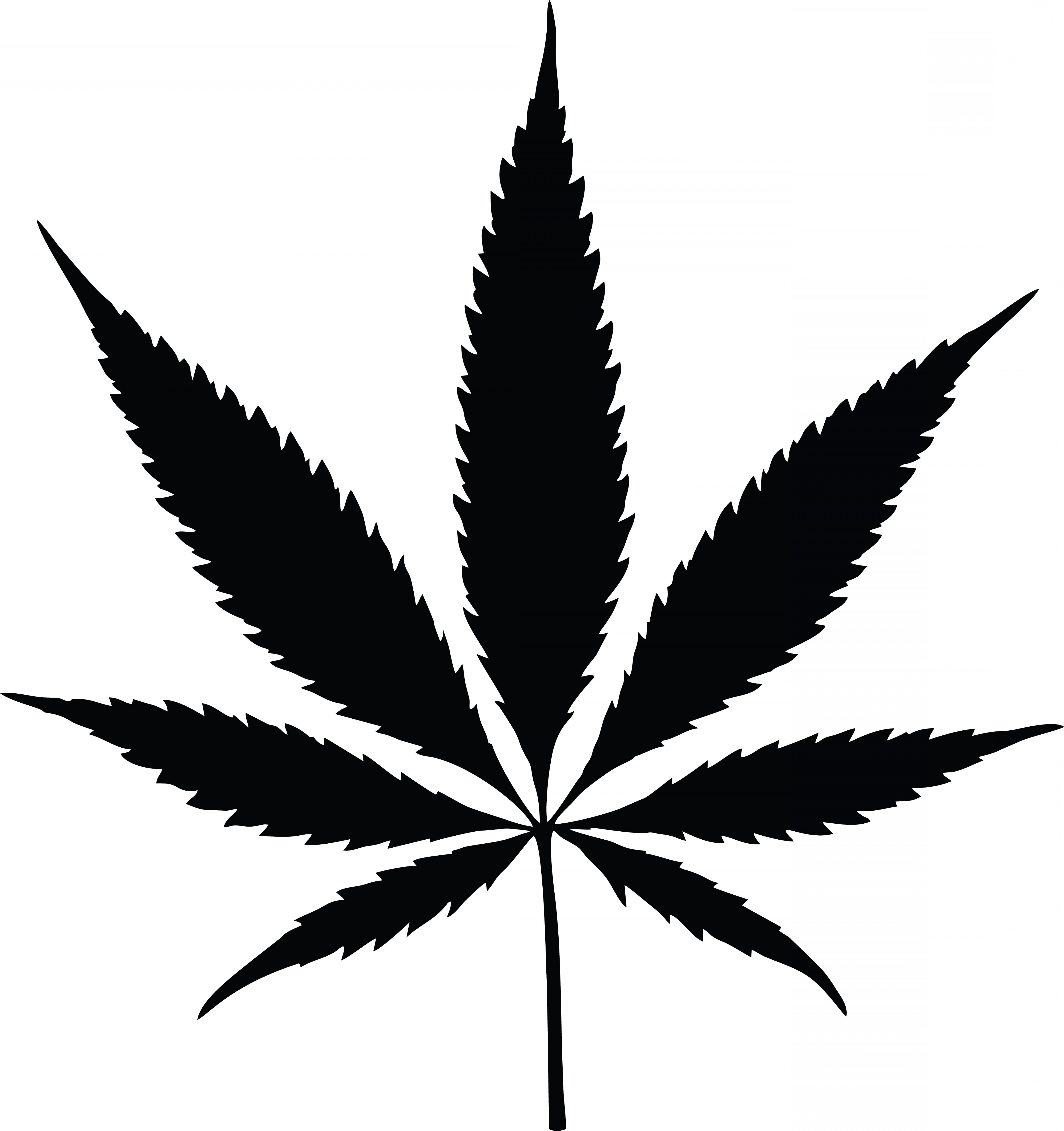 4800x5104 Pot Leaf Silhouette Vector Catamart