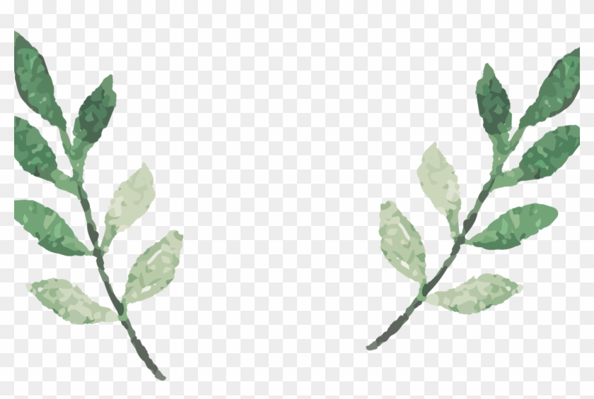 840x565 Watercolor Leaves Vector Transprent Png Free