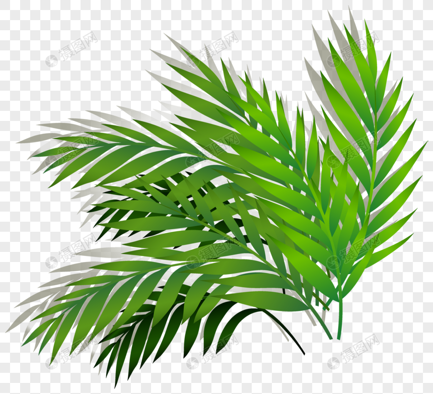 860x782 Cartoon Natural Cartoon Palm Leaf Vector Material Png