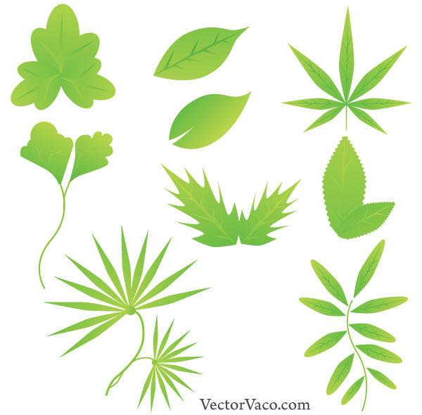 Green Leaf Vector Free Download 600x590 Green Leaf Vector Free Download