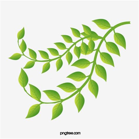 Leaf Vector Free Download at Vectorified.com | Collection of Leaf ...