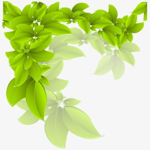 Leaves Transprent Png Free Download Evergreen Pine 310x310 Leaves Transprent Png Free Download Evergreen Pine