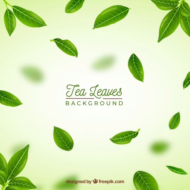 Tea Leaves Vectors, Photos And Free Download 626x626 Tea Leaves Vectors, Photos And Free Download