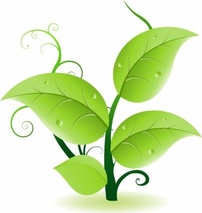 Tree Leaves Vector Free Vector For Free Download 404x425 Tree Leaves Vector Free Vector For Free Download
