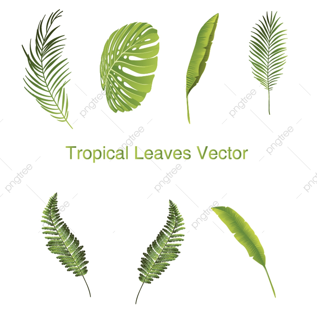 1,263 Tropical vector images at Vectorified.com