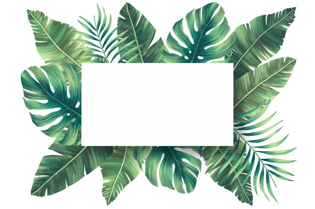 Tropical Leaves Vectors, Photos And Free Download 626x417 Tropical Leaves Vectors, Photos And Free Download