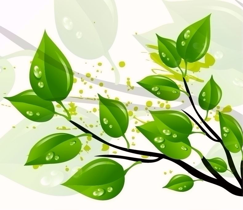 Leaf Graphic Image Abstract Green Leaves Vector Illustration 790x683 Leaf Graphic Image Abstract Green Leaves Vector Illustration
