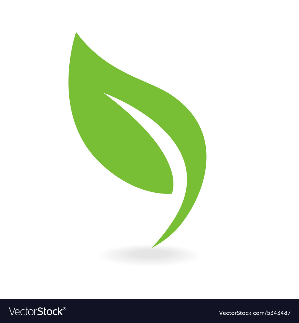 1000x1080 Leaf Vector Png Images In Collection