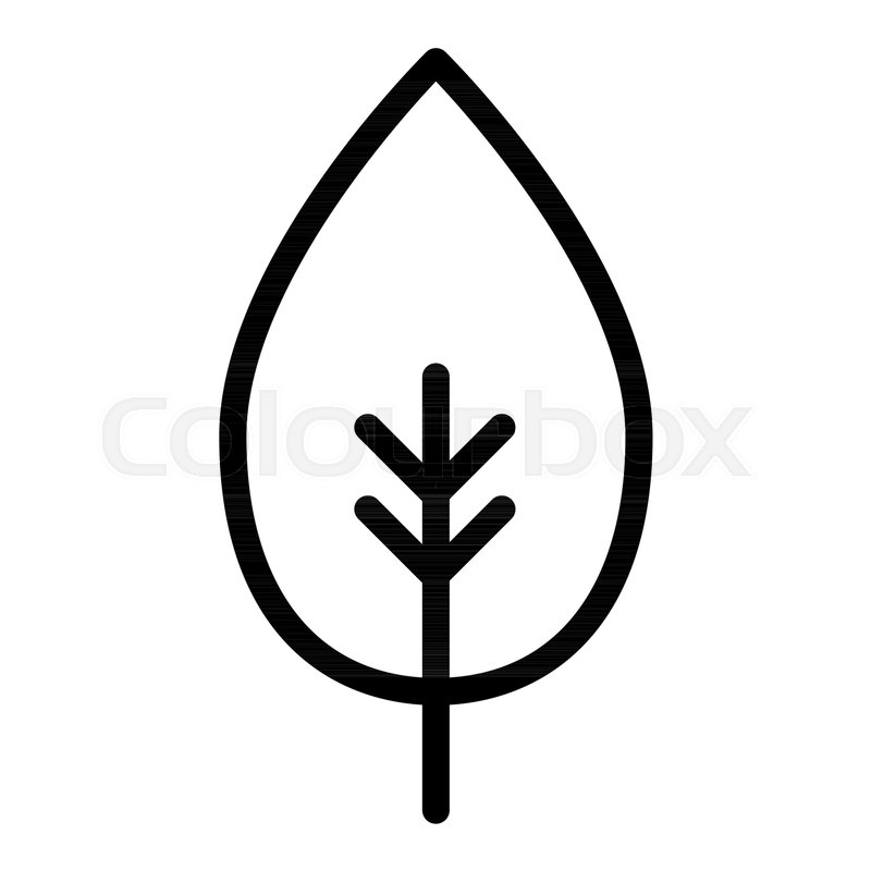 800x800 Leaf Line Icon Simple Leaf Vector Stock Vector Colourbox