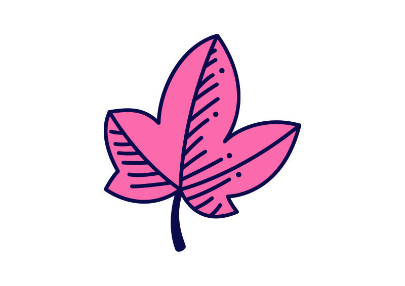800x566 Line Art Pink Leaf Vector