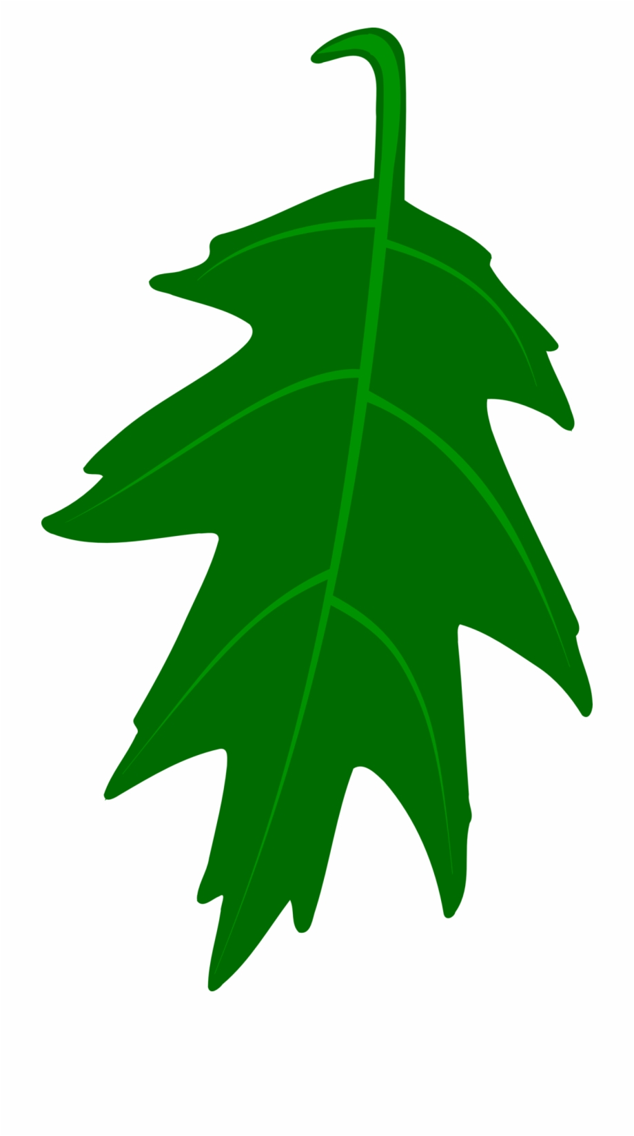 920x1649 Oak Leaf Vector