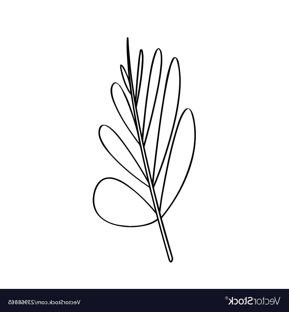 1000x1080 Best Leaf Vector Our Line Free Vector Images Design