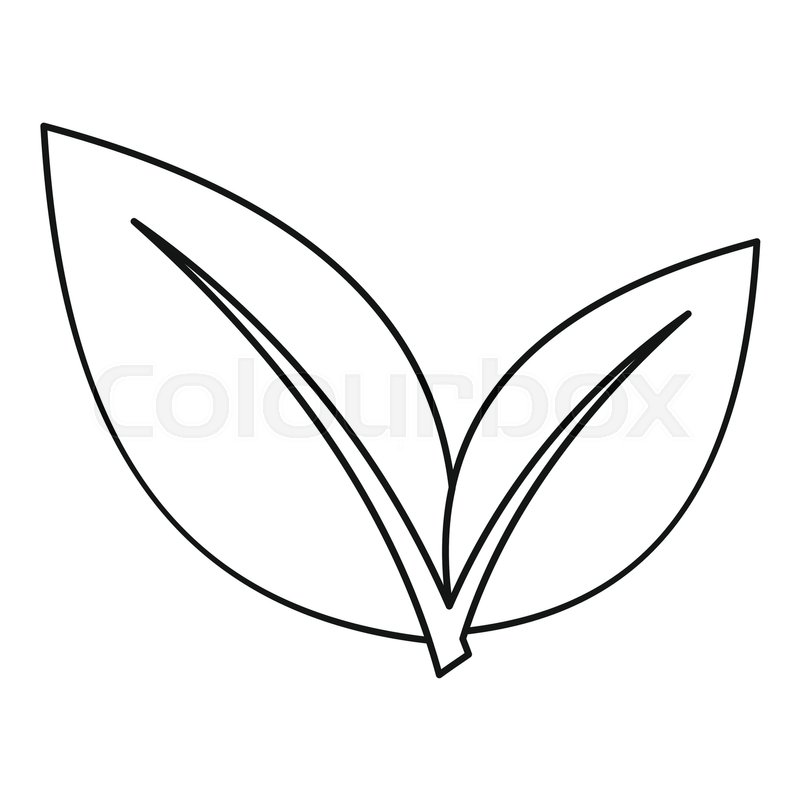 Leaf Icon Outline Illustration Of Stock Vector Colourbox 800x800 Leaf Icon Outline Illustration Of Stock Vector Colourbox