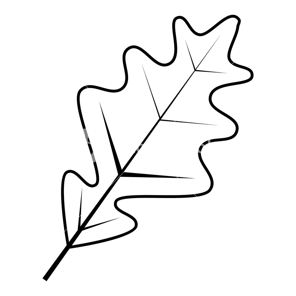 Leaf Vector Outline at Vectorified.com | Collection of Leaf Vector ...