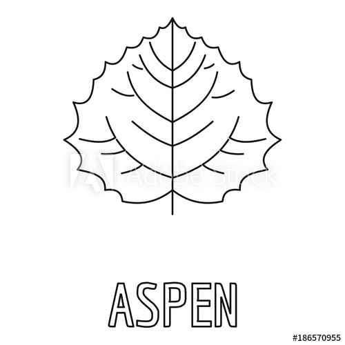 Aspen Leaf Icon Outline Illustration Of Aspen Leaf Vector Icon 500x500 Aspen Leaf Icon Outline Illustration Of Aspen Leaf Vector Icon