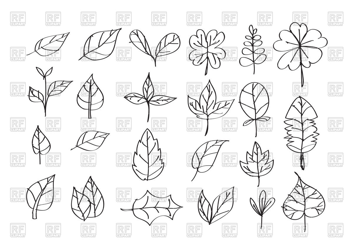 Outline Of Leaves Vector Image Of Plants And Animals Tumdee 1200x848 Outline Of Leaves Vector Image Of Plants And Animals Tumdee