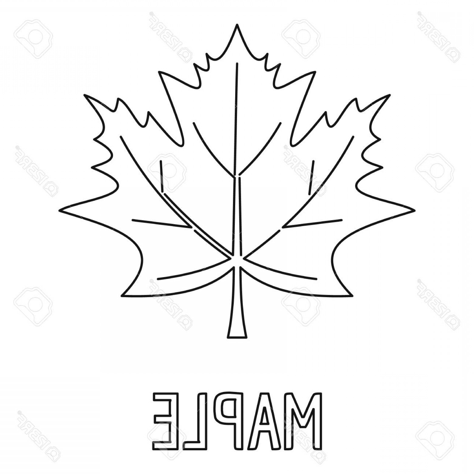 Photostock Vector Maple Leaf Icon Outline Illustration Of Maple 1560x1560 Photostock Vector Maple Leaf Icon Outline Illustration Of Maple
