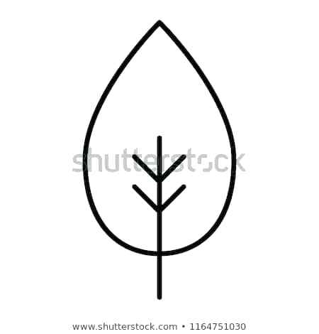 Simple Leaf Outline Ivy Leaf Outline Vector Of A As Well Maple 450x470 Simple Leaf Outline Ivy Leaf Outline Vector Of A As Well Maple