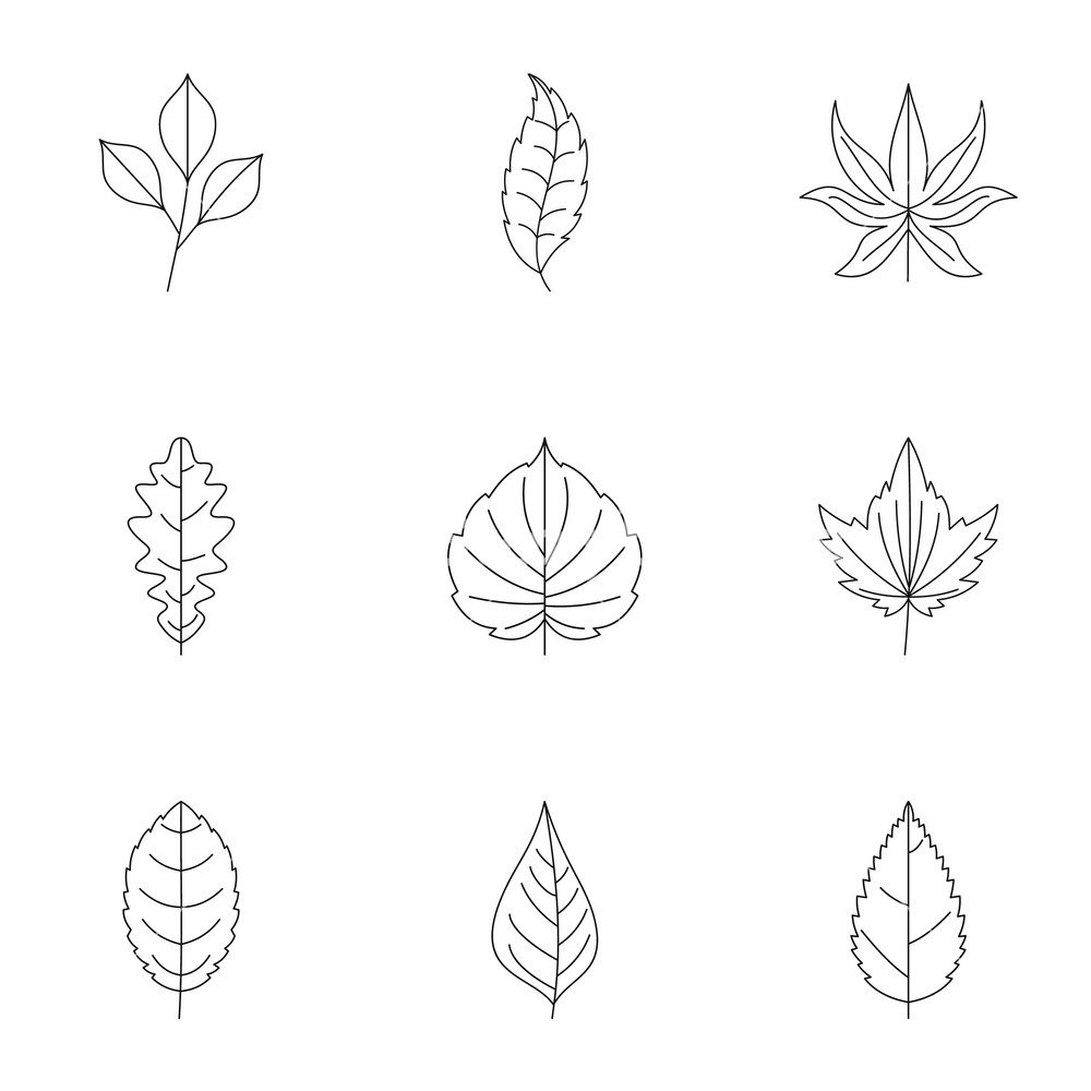 Summer Leaf Icons Set Outline Set Of Summer Leaf Vector Icons 1000x1000 Summer Leaf Icons Set Outline Set Of Summer Leaf Vector Icons