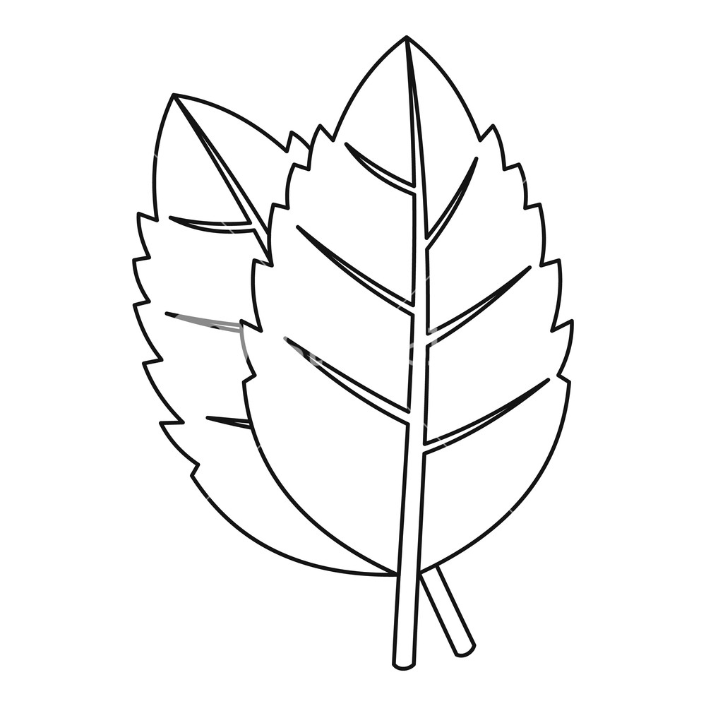 Basil Leaves Icon Outline Illustration Of Basil Leaves Vector 1000x1000 Basil Leaves Icon Outline Illustration Of Basil Leaves Vector