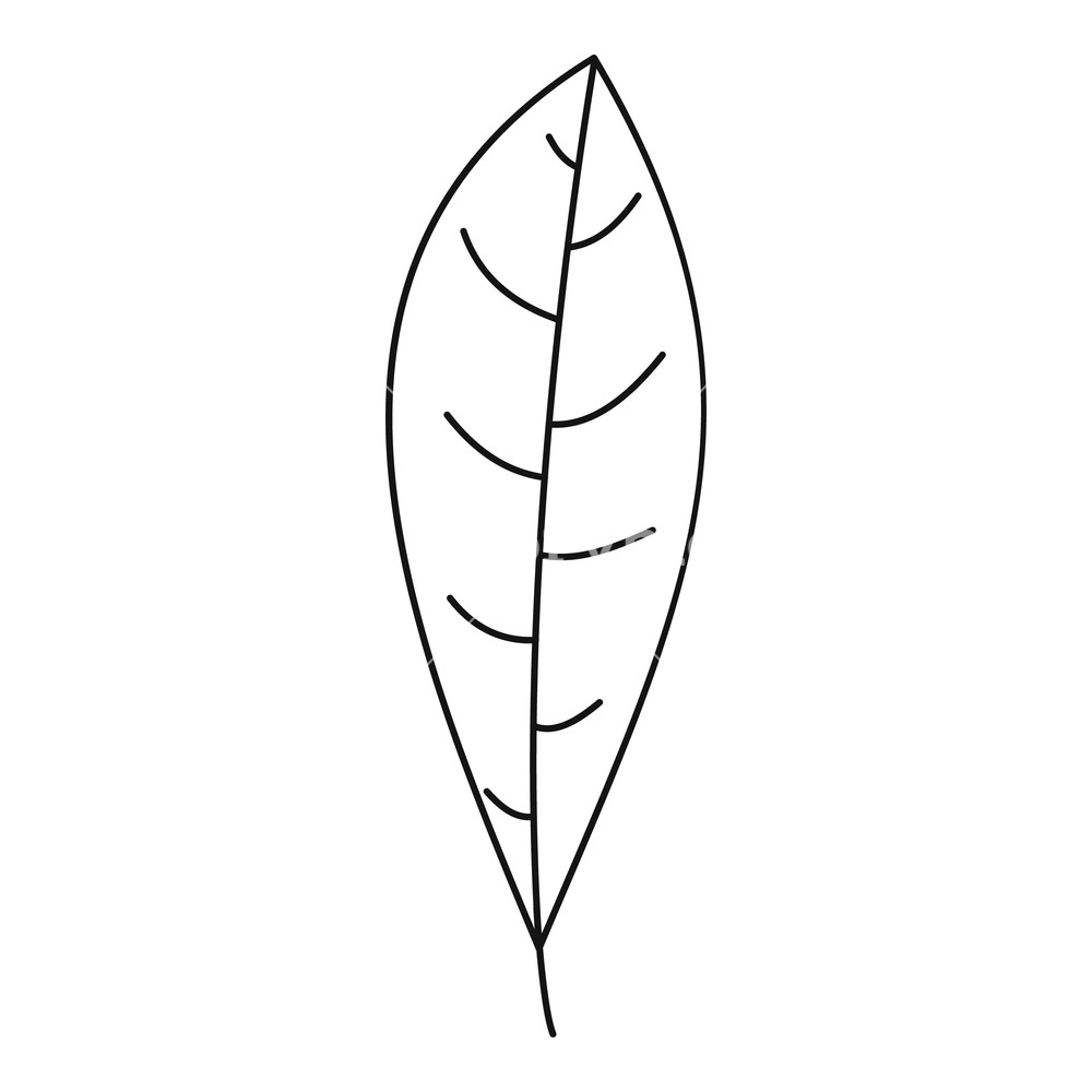 Tree Leaf Icon Outline Illustration Of Tree Leaf Vector Icon 1000x1000 Tree Leaf Icon Outline Illustration Of Tree Leaf Vector Icon