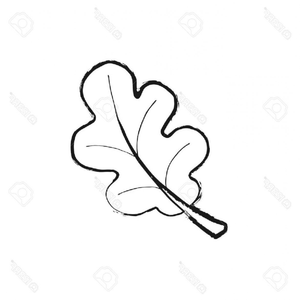 White Oak Leaf Outline Clip Art Vector Studiogrfx 1228x1228 White Oak Leaf Outline Clip Art Vector Studiogrfx