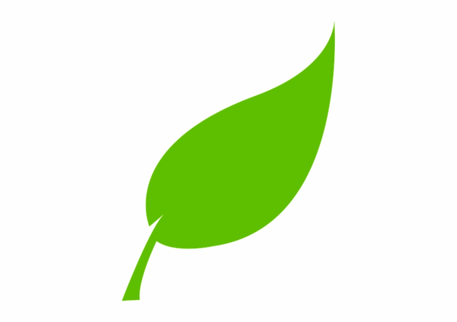 920x648 Folha Verde Png