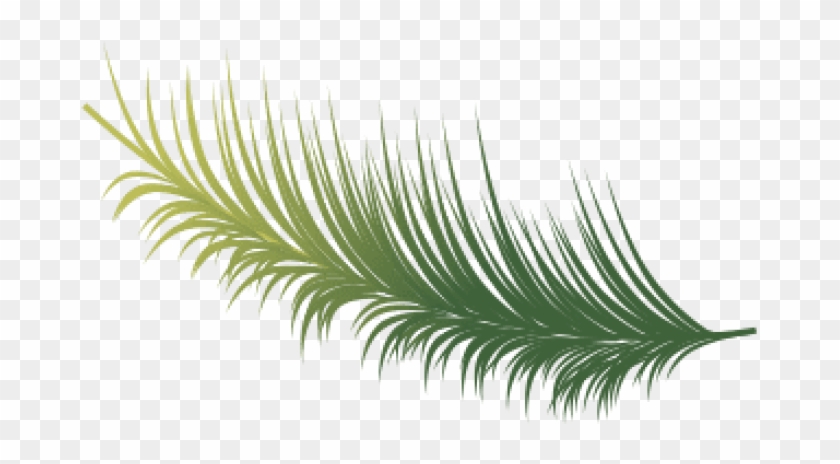 840x464 Free Png Download Coconut Leaves Vector Png Images