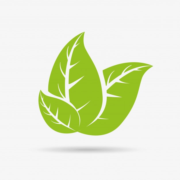 Leaf Vector Png at Vectorified.com | Collection of Leaf Vector Png free