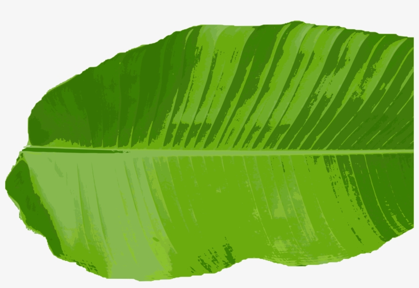 820x563 Royalty Free Thai Cuisine Clip Art Leaves Transprent