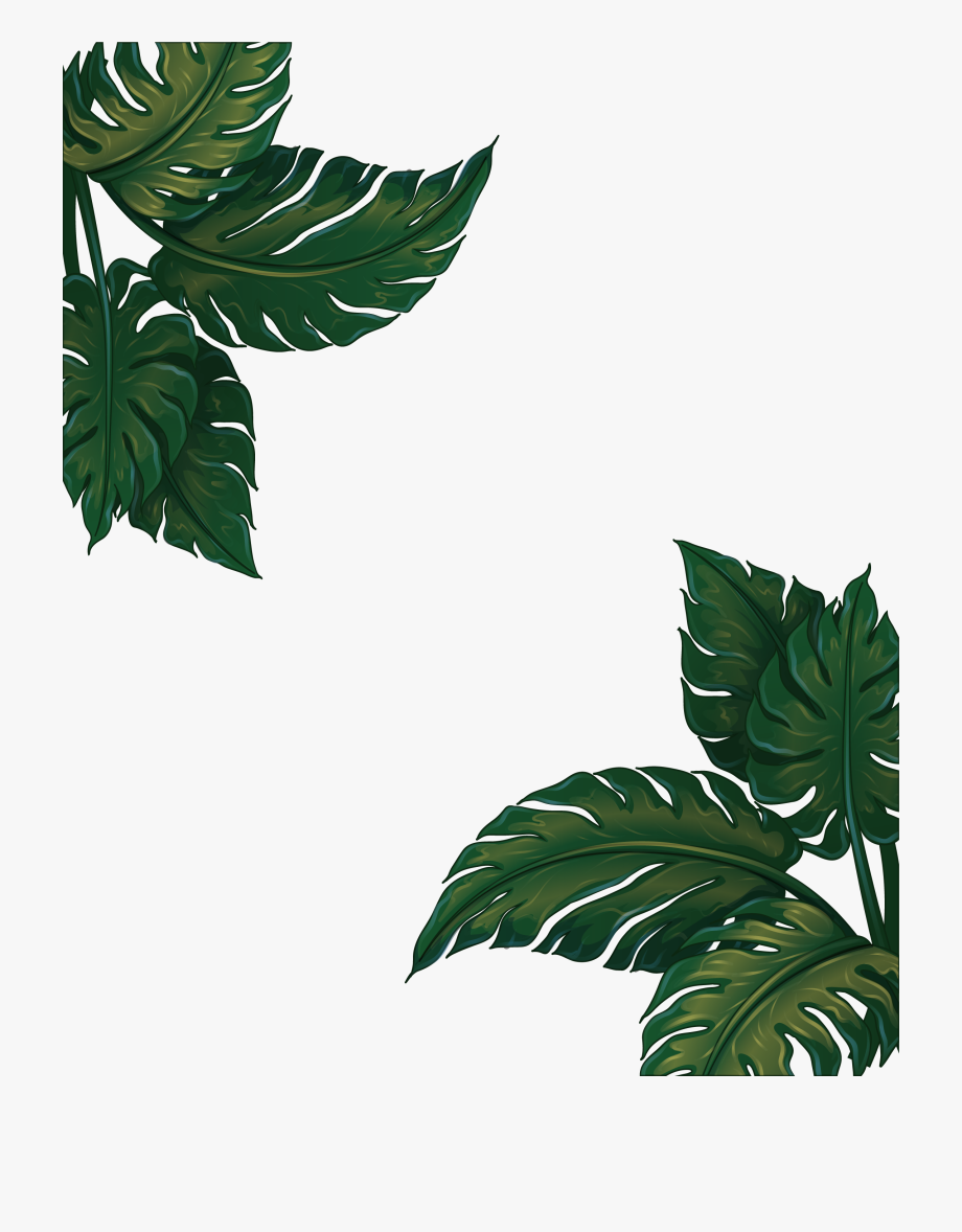 920x1178 Leaf Musa Euclidean Vector Green Frame Basjoo