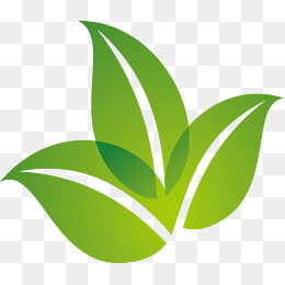 260x260 Leaf Vector, Graphic Resources For Free Download