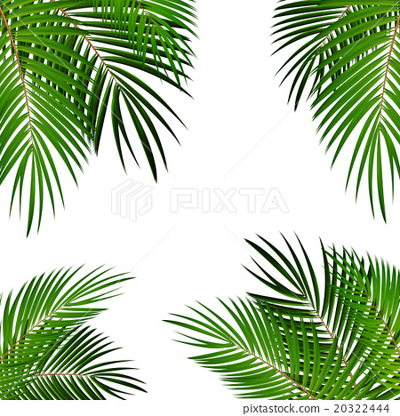 450x468 Leaf Vector Png Images In Collection