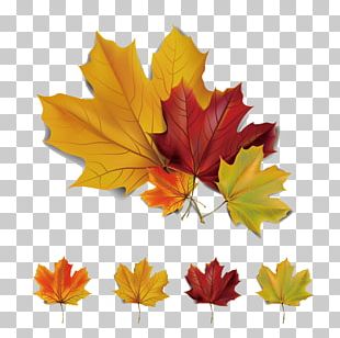 310x308 Leaves Vector Png Images, Leaves Vector Clipart Free Download