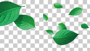 310x176 Page Green Leaf Vector Png Cliparts For Free Download