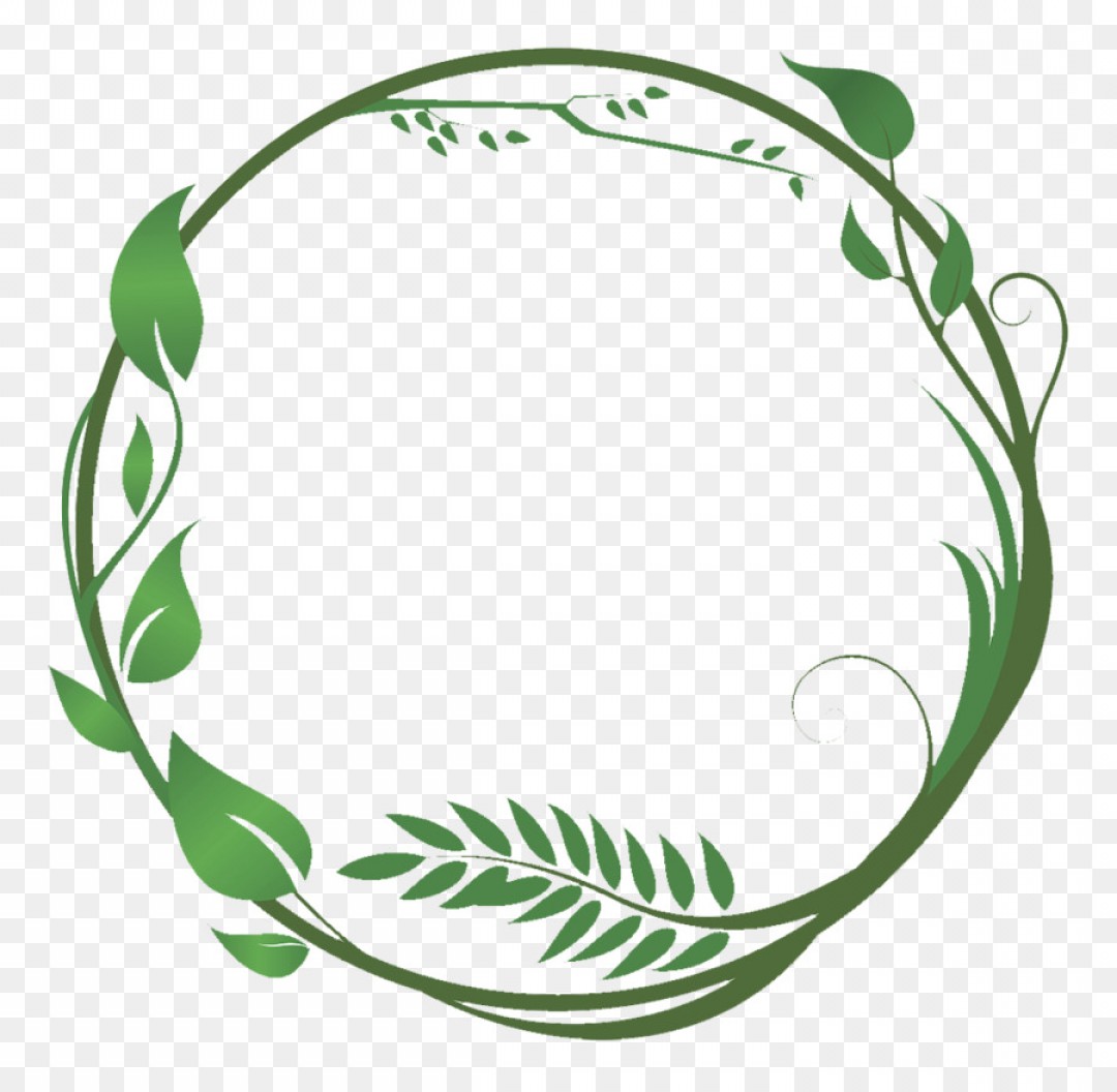 1080x1056 Png Common Ivy Leaf Green Vine Vector Green Leaves And Soidergi