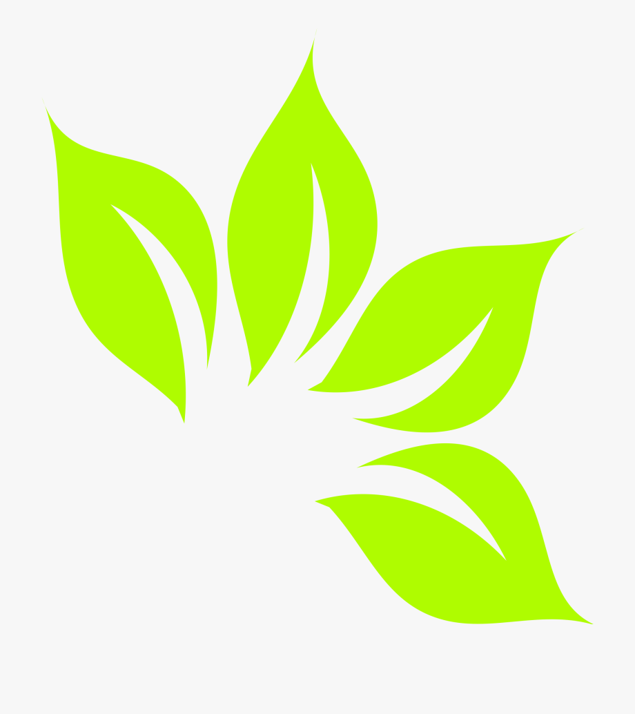 920x1034 Tomato Leaf