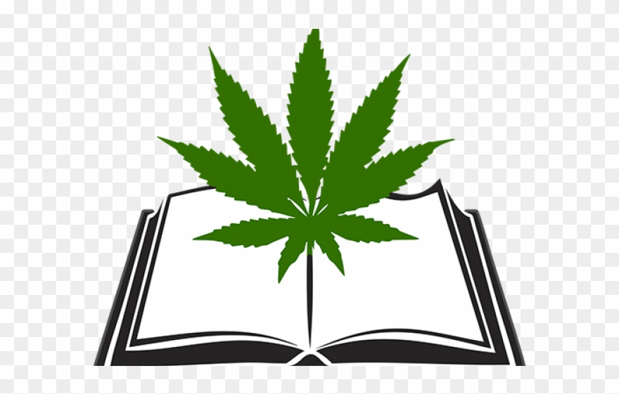880x561 Cannabis Clipart Illegal Drug