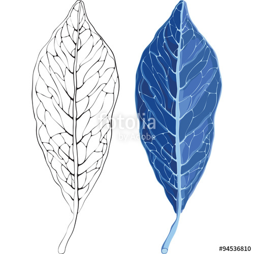 500x500 Leaves In The Frost Vector Illustration Leaves In The Frost