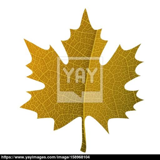 Leaf Veins Vector at Vectorified.com | Collection of Leaf Veins Vector