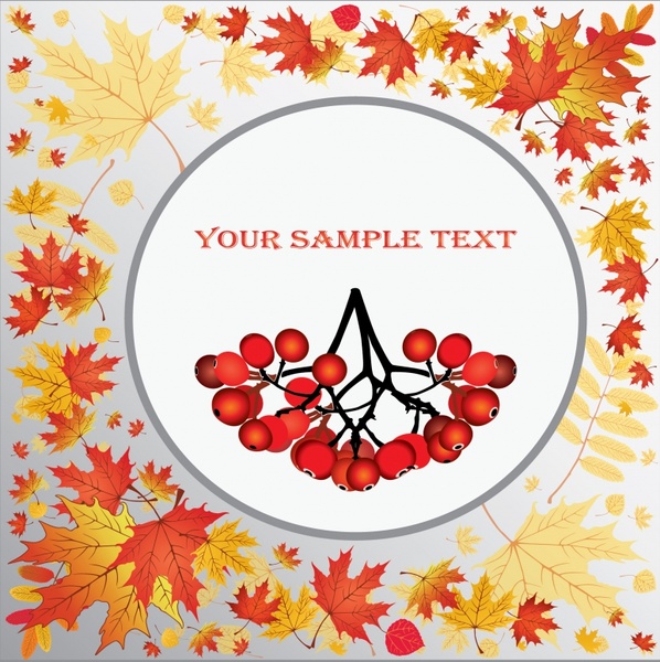 598x600 Vector Autumn Maple Leaf Veins Autumn Fruit Free Vector