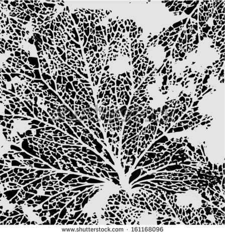 449x470 Vector Illustration Of Leaf Veins, Leaf Skeleton Abstract Black