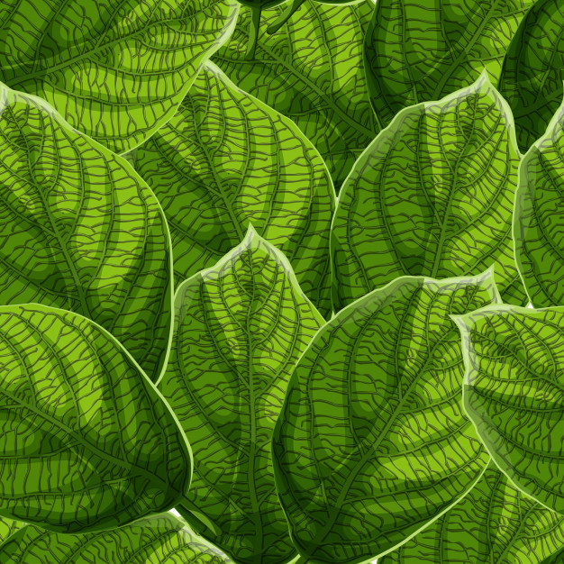 626x626 Vibrant Textured Green Leaves With Veins Seamless Pattern Vector