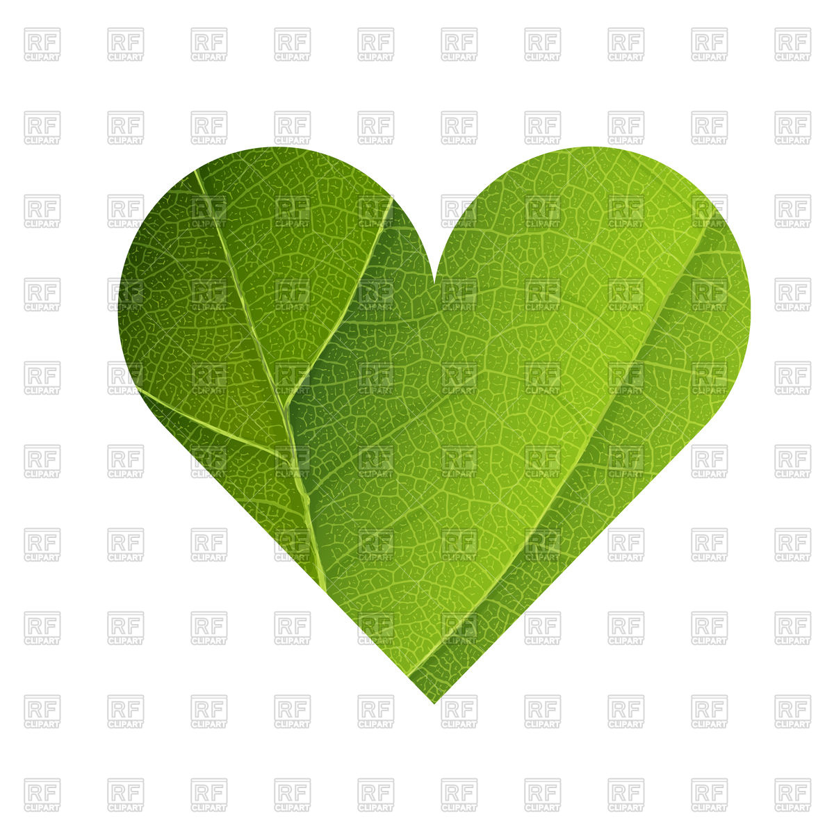 1200x1200 Green Leaf Veins Texture Heart Shaped