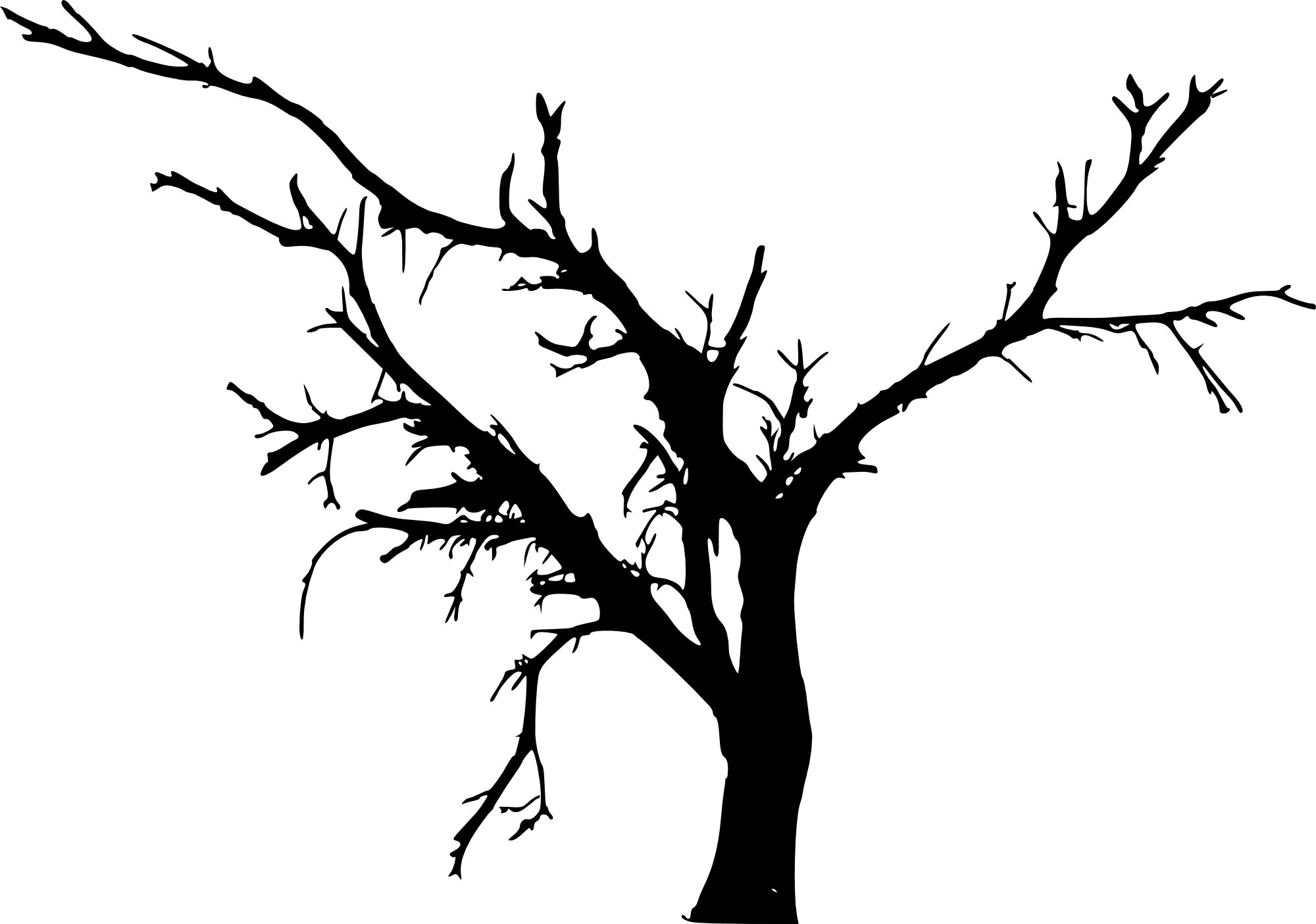 2000x1404 Hd Tree Silhouette Vector Png Transparent Png Image Download
