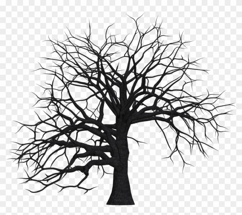 840x748 Hand Drawn Leafless Tree On White Stock Vector