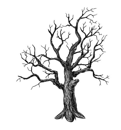 417x450 Hand Drawn Leafless Tree On White Background Royalty Free Vector