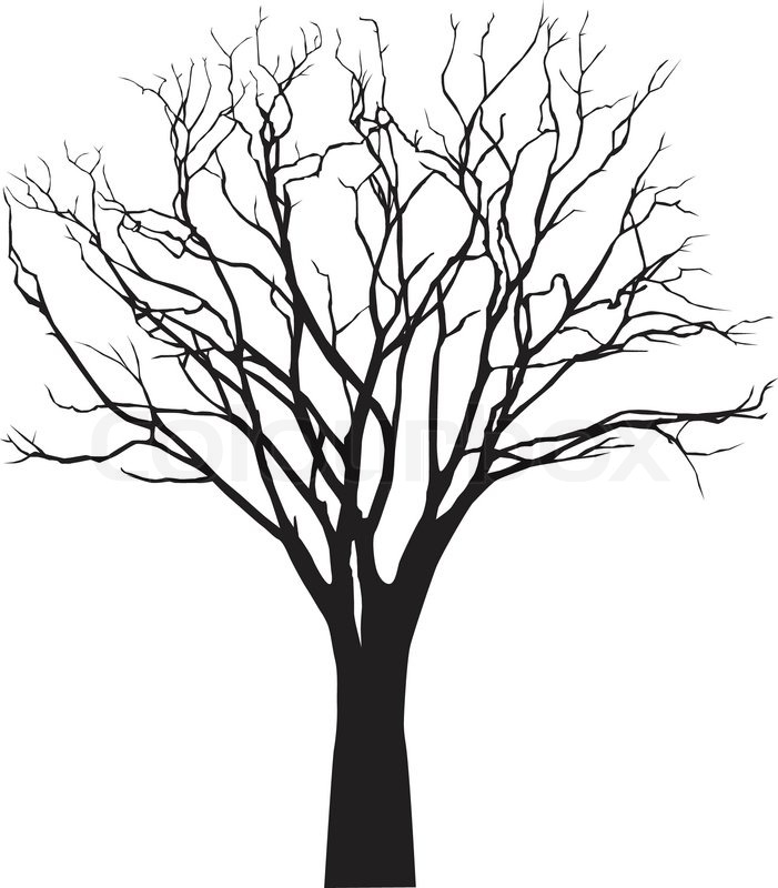 701x800 Huge Collection Of 'bare Tree Silhouette' Download More Than